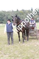 2012-09-02:  bei Fahrturnier in Renzow