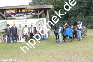 2012-09-02:  bei Fahrturnier in Renzow