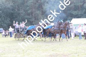 2012-09-02:  bei Fahrturnier in Renzow