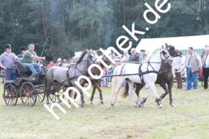 2012-09-02:  bei Fahrturnier in Renzow
