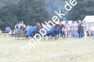 2012-09-02:  bei Fahrturnier in Renzow