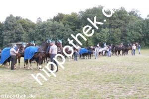 2012-09-02:  bei Fahrturnier in Renzow