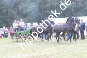2012-09-02:  bei Fahrturnier in Renzow
