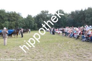 2012-09-02:  bei Fahrturnier in Renzow