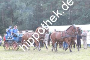 2012-09-02:  bei Fahrturnier in Renzow