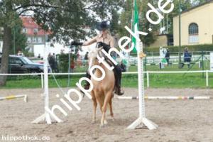2012-09-29:  bei Landesbreitensportturnier in Güstrow