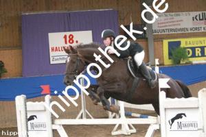 2012-10-21: Derbys dream  bei Reitturnier in Gadebusch