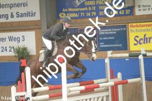 2012-10-21: Chira  bei Reitturnier in Gadebusch