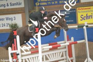 2012-10-21: Derbys dream  bei Reitturnier in Gadebusch