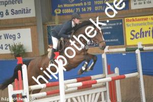 2012-10-21: Contherana  bei Reitturnier in Gadebusch