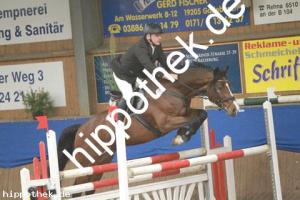 2012-10-21: Chico  bei Reitturnier in Gadebusch