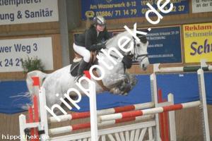 2012-10-21: Cellestra  bei Reitturnier in Gadebusch