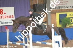 2012-10-21: Derbys dream  bei Reitturnier in Gadebusch