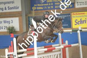 2012-10-21: D'Olympic Sun  bei Reitturnier in Gadebusch