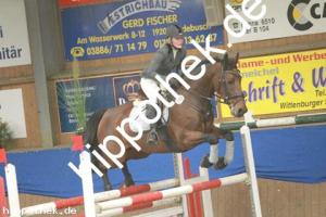 2012-10-21: Waringa  bei Reitturnier in Gadebusch