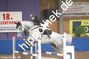 2012-10-21: Cellestra  bei Reitturnier in Gadebusch