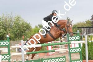 2013-09-01: Cypriana  bei Reitturnier in Schwaan