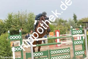 2013-09-01: Lenny  bei Reitturnier in Schwaan
