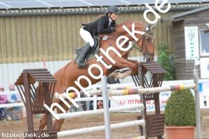 2013-09-01: Cypriana  bei Reitturnier in Schwaan