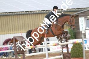 2013-09-01: Leonardo F  bei Reitturnier in Schwaan