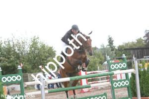 2013-09-01: Cronau  bei Reitturnier in Schwaan