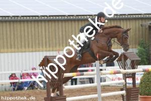2013-09-01: Dyleen  bei Reitturnier in Schwaan