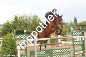 2013-09-01: Jum Alme  bei Reitturnier in Schwaan