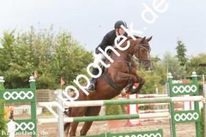 2013-09-01: Dyleen  bei Reitturnier in Schwaan