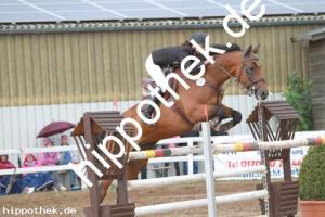 2013-09-01: Mondnixe  bei Reitturnier in Schwaan