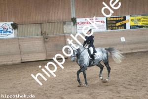 2013-10-19: His Lordliness  bei Dressurturnier in Zierow