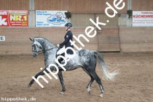 2013-10-19: His Lordliness  bei Dressurturnier in Zierow
