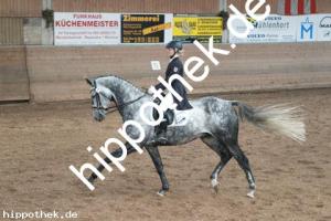 2013-10-19: His Lordliness  bei Dressurturnier in Zierow