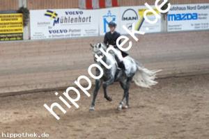 2013-10-19: His Lordliness  bei Dressurturnier in Zierow