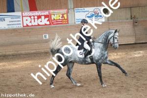 2013-10-19: His Lordliness  bei Dressurturnier in Zierow
