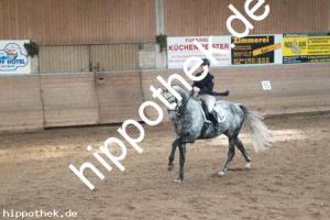 2013-10-19: His Lordliness  bei Dressurturnier in Zierow