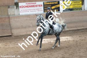 2013-10-19: His Lordliness  bei Dressurturnier in Zierow