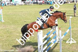 2014-06-08: Chaja  bei Reitturnier in Elmenhorst
