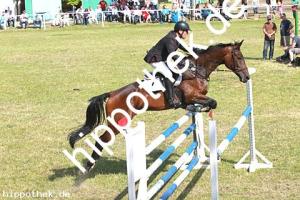 2014-06-08: Graphity  bei Reitturnier in Elmenhorst