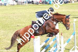 2014-06-08: Cera  bei Reitturnier in Elmenhorst