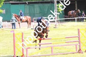 2014-06-08: Cera  bei Reitturnier in Elmenhorst