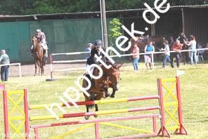 2014-06-08: Classic Girl  bei Reitturnier in Elmenhorst