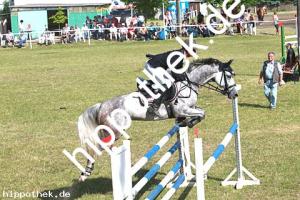 2014-06-08: Alina  bei Reitturnier in Elmenhorst