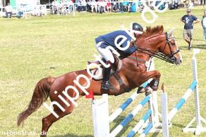 2014-06-08: Chivas Regal  bei Reitturnier in Elmenhorst