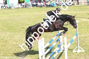 2014-06-08: Captain Jack Sparrow  bei Reitturnier in Elmenhorst