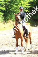 2014-06-13:  bei Reitturnier in Poseritz