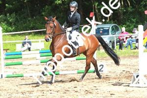 2014-06-13: Lotta GM  bei Reitturnier in Poseritz