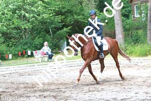 2014-06-13: Quantana P  bei Reitturnier in Poseritz