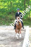 2014-06-13:  bei Reitturnier in Poseritz