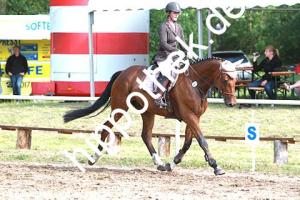 2014-06-13: Caitma R  bei Reitturnier in Poseritz