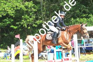 2014-06-13: Dollgeliebt  bei Reitturnier in Poseritz